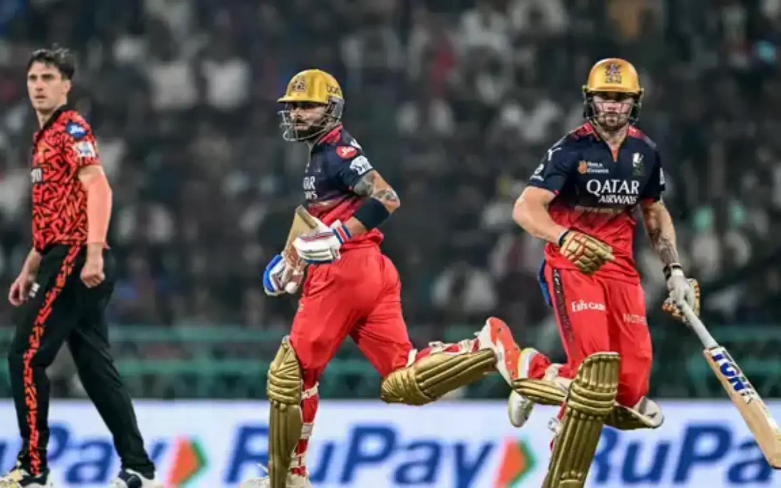 IPL