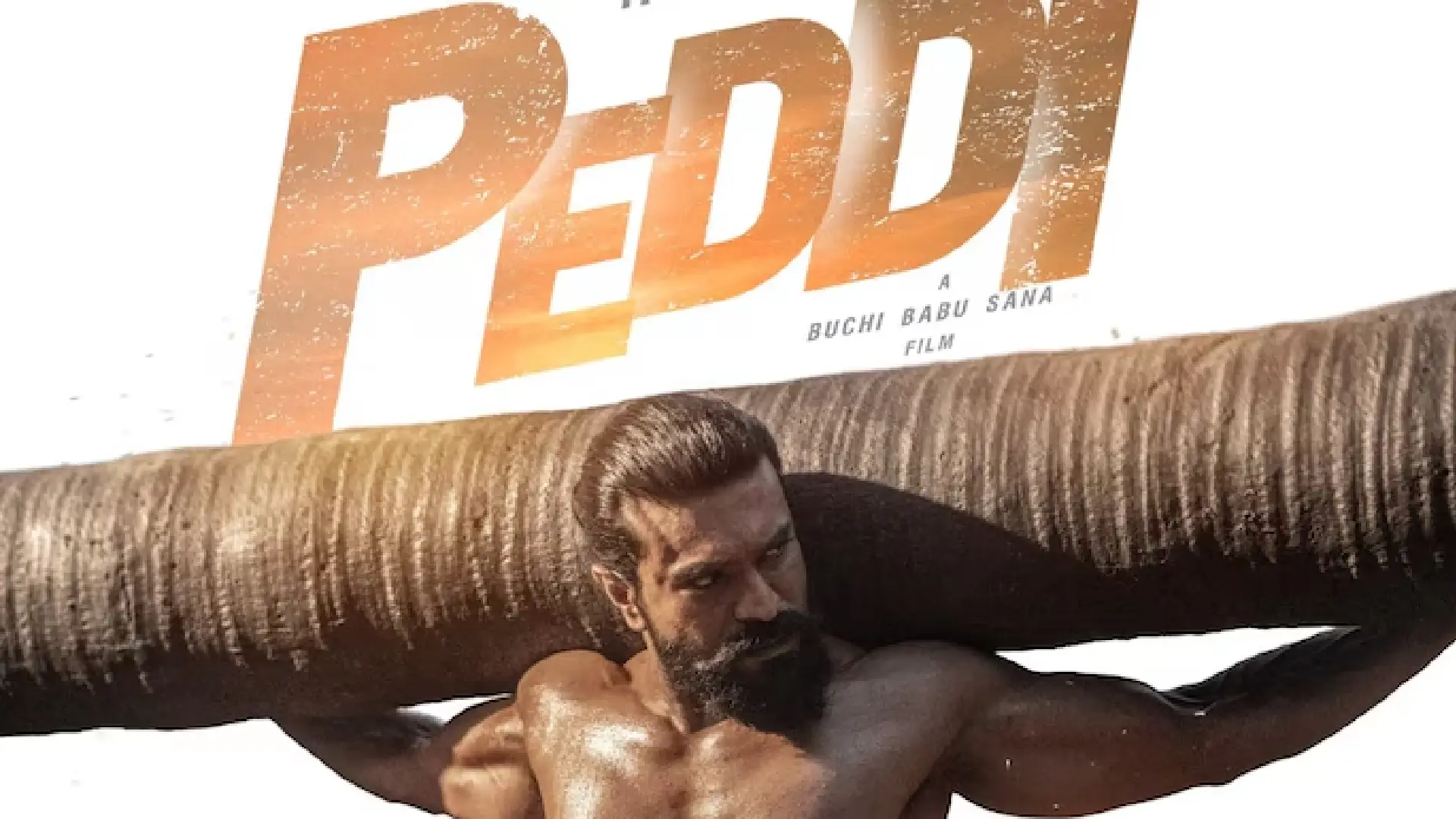 Peddi